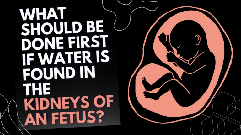 What should be done first if water is found in the kidneys of an fetus?