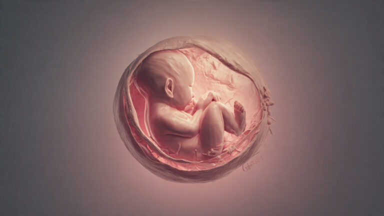 When Do Pregnant Women Start Feeling Baby Movements? A Complete Guide for Expecting Mothers