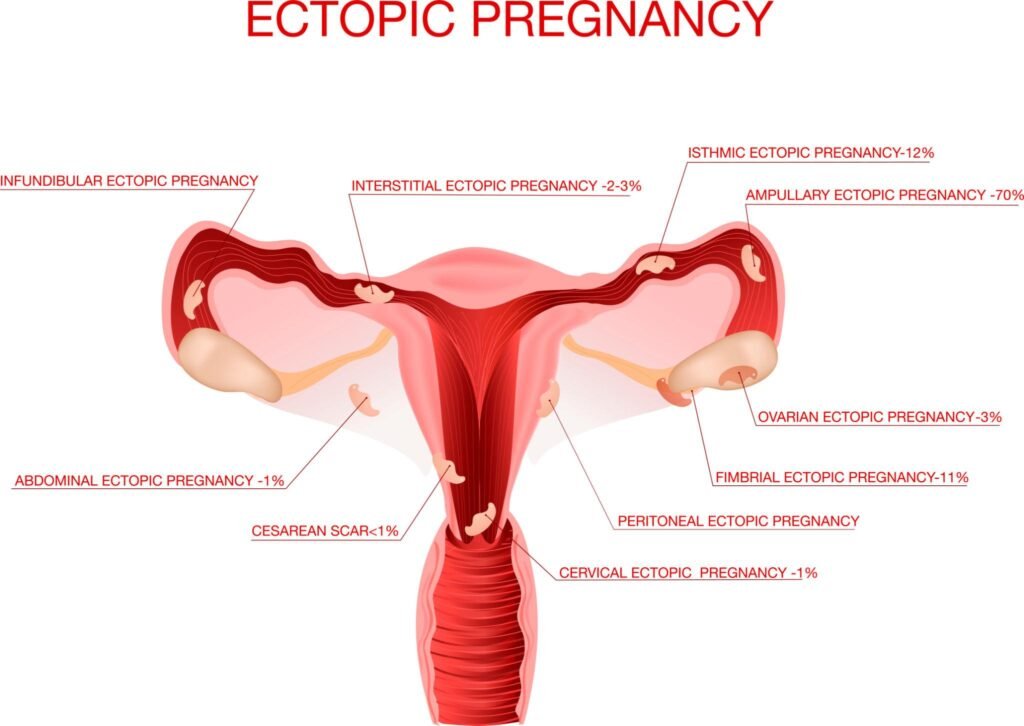 dating scan in pregnancy