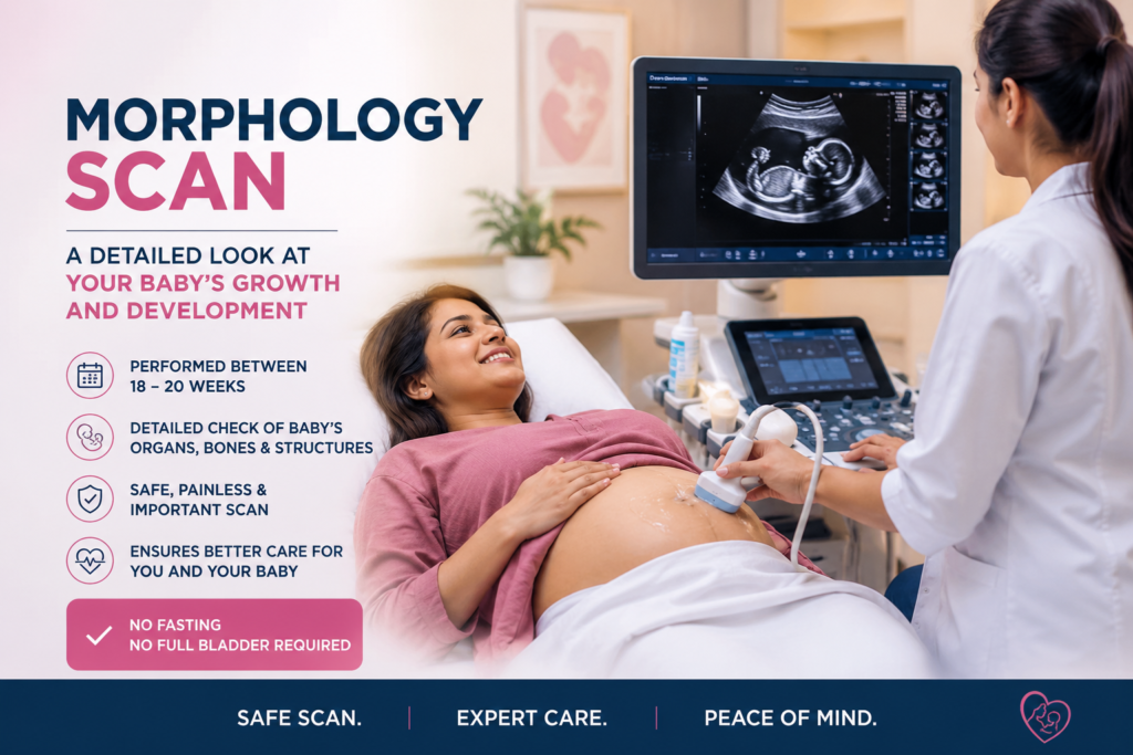Morphology Scan