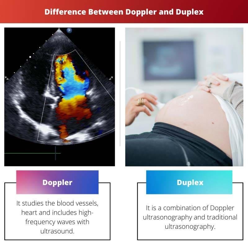Fetal Doppler Scan