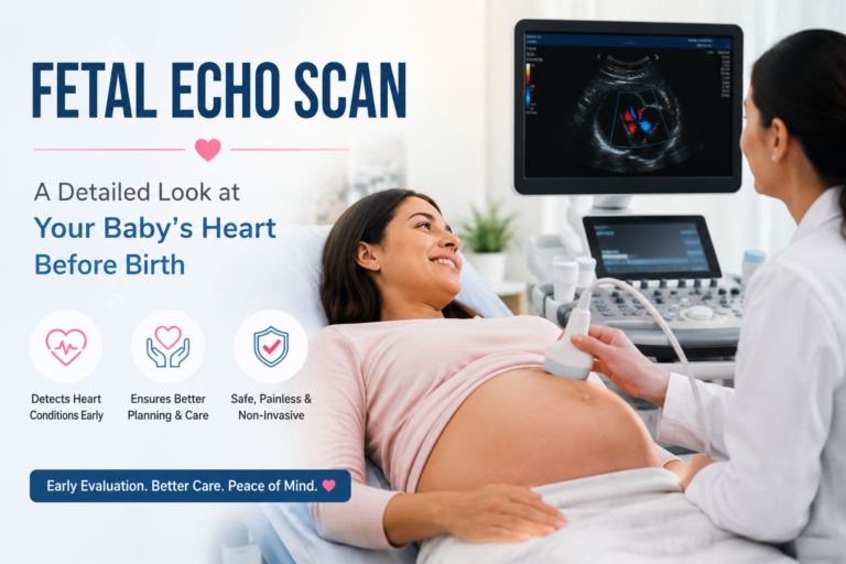 Fetal Echo Scan